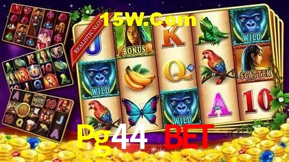 Pg44 Bet Brasília - Leaderboards